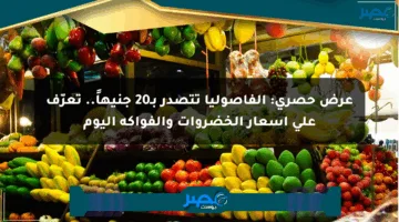 عرض حصري: الفاصوليا تتصدر بـ20 جنيهاً.. تعرّف على أسعار الخضروات والفواكه اليوم